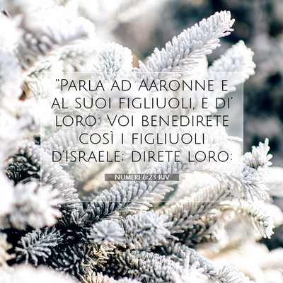 Picture 07 - Numeri 6:23 RIV - “Parla ad Aaronne e al suoi figliuoli, e di’ - Bible Verse Picture