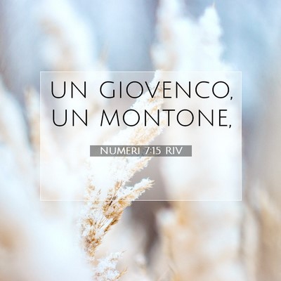 Picture 07 - Numeri 7:15 RIV - un giovenco, un - Bible Verse Picture