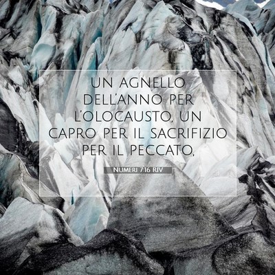 Picture 07 - Numeri 7:16 RIV - un agnello dell’anno per l’olocausto, un - Bible Verse Picture