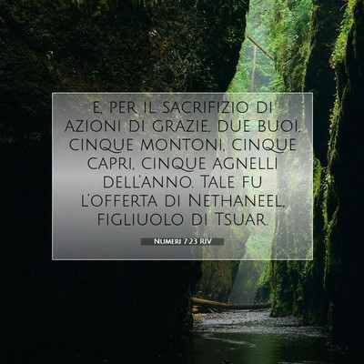 Picture 07 - Numeri 7:23 RIV - e, per il sacrifizio di azioni di grazie, due - Bible Verse Picture