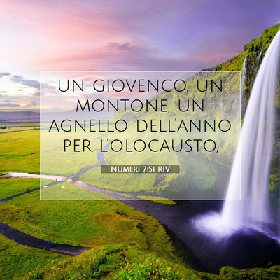 Picture 07 - Numeri 7:51 RIV - un giovenco, un montone, un agnello dell’anno - Bible Verse Picture