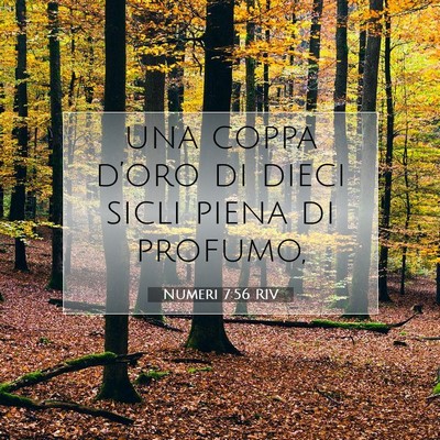 Picture 07 - Numeri 7:56 RIV - una coppa d’oro di dieci sicli piena di - Bible Verse Picture