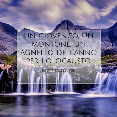 Picture 07 - Numeri 7:57 RIV - un giovenco, un montone, un agnello dell’anno - Bible Verse Picture