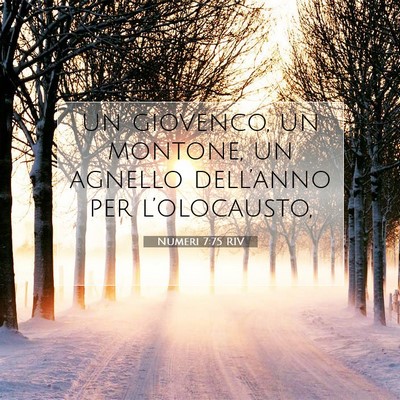 Picture 07 - Numeri 7:75 RIV - un giovenco, un montone, un agnello dell’anno - Bible Verse Picture