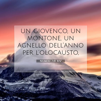 Picture 07 - Numeri 7:81 RIV - un giovenco, un montone, un agnello dell’anno - Bible Verse Picture