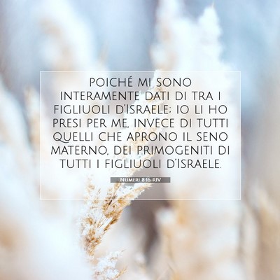Picture 07 - Numeri 8:16 RIV - poiché mi sono interamente dati di tra i - Bible Verse Picture