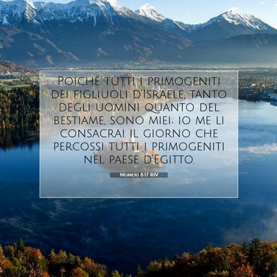 Picture 07 - Numeri 8:17 RIV - Poiché tutti i primogeniti dei figliuoli - Bible Verse Picture