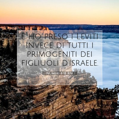Picture 07 - Numeri 8:18 RIV - E ho preso i Leviti invece di tutti i primogeniti - Bible Verse Picture