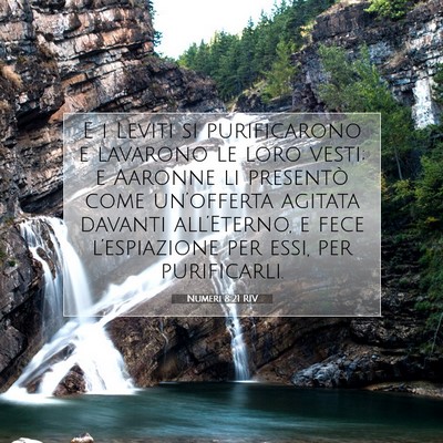 Picture 07 - Numeri 8:21 RIV - E i Leviti si purificarono e lavarono le loro - Bible Verse Picture