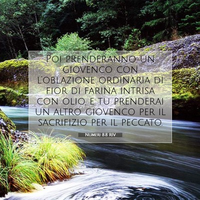 Picture 07 - Numeri 8:8 RIV - Poi prenderanno un giovenco con l’oblazione - Bible Verse Picture