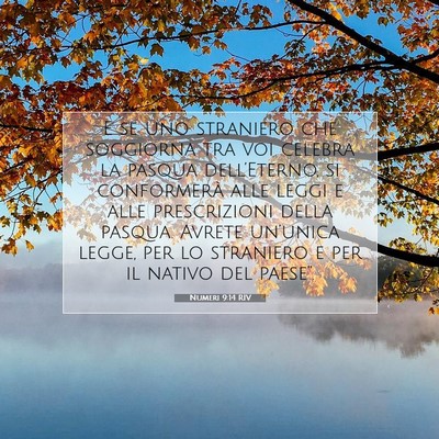 Picture 07 - Numeri 9:14 RIV - E se uno straniero che soggiorna tra voi celebra - Bible Verse Picture