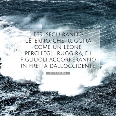 Picture 07 - Osea 11:10 RIV - Essi seguiranno l’Eterno, che ruggirà come un - Bible Verse Picture
