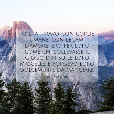 Picture 07 - Osea 11:4 RIV - Io li attiravo con corde umane, con legami - Bible Verse Picture