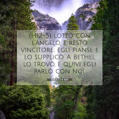 Picture 07 - Osea 12:4 RIV - (H12-5) lottò con l’angelo, e restò - Bible Verse Picture