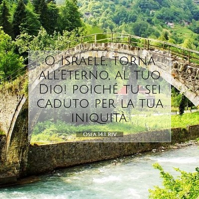Picture 07 - Osea 14:1 RIV - O Israele, torna all’Eterno, al tuo Dio! - Bible Verse Picture