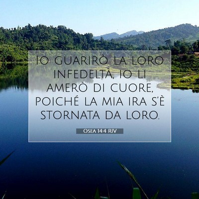 Picture 07 - Osea 14:4 RIV - Io guarirò la loro infedeltà, io li amerò di - Bible Verse Picture