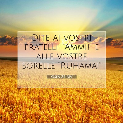 Picture 07 - Osea 2:1 RIV - Dite ai vostri fratelli: “Ammi!” e alle - Bible Verse Picture