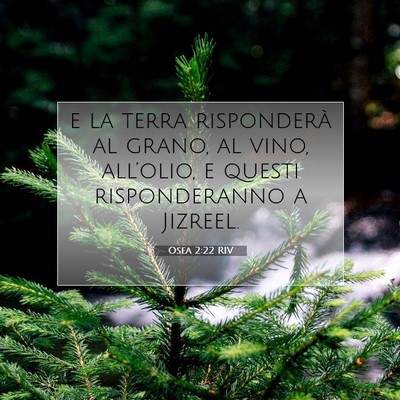 Picture 07 - Osea 2:22 RIV - e la terra risponderà al grano, al vino, - Bible Verse Picture