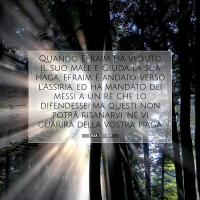 Picture 07 - Osea 5:13 RIV - Quando Efraim ha veduto il suo male e Giuda la - Bible Verse Picture