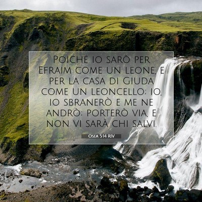 Picture 07 - Osea 5:14 RIV - Poiché io sarò per Efraim come un leone, e per - Bible Verse Picture