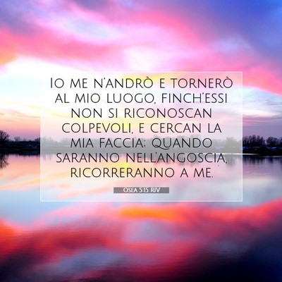 Picture 07 - Osea 5:15 RIV - Io me n’andrò e tornerò al mio luogo, - Bible Verse Picture