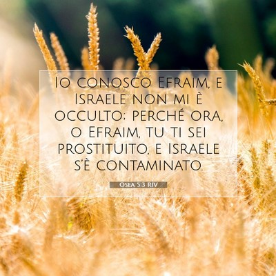 Picture 07 - Osea 5:3 RIV - Io conosco Efraim, e Israele non mi è occulto; - Bible Verse Picture