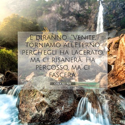 Picture 07 - Osea 6:1 RIV - E diranno: “Venite, torniamo all’Eterno - Bible Verse Picture