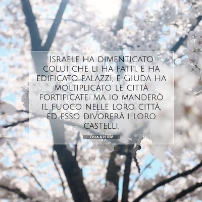 Picture 07 - Osea 8:14 RIV - Israele ha dimenticato colui che li ha fatti, e - Bible Verse Picture
