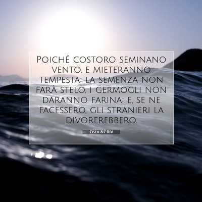 Picture 07 - Osea 8:7 RIV - Poiché costoro seminano vento, e mieteranno - Bible Verse Picture
