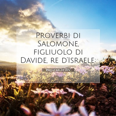 Picture 07 - Proverbi 1:1 RIV - Proverbi di Salomone, figliuolo di Davide, re - Bible Verse Picture