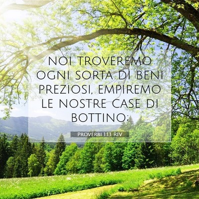 Picture 07 - Proverbi 1:13 RIV - noi troveremo ogni sorta di beni preziosi, - Bible Verse Picture