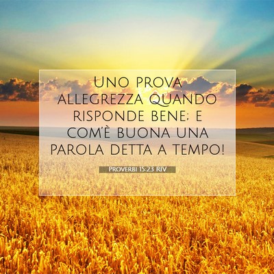 Picture 07 - Proverbi 15:23 RIV - Uno prova allegrezza quando risponde bene; e - Bible Verse Picture