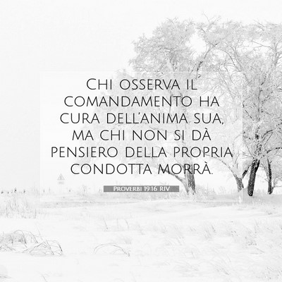 Picture 07 - Proverbi 19:16 RIV - Chi osserva il comandamento ha cura dell’anima - Bible Verse Picture