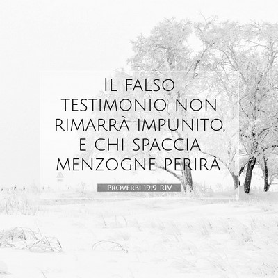 Picture 07 - Proverbi 19:9 RIV - Il falso testimonio non rimarrà impunito, e chi - Bible Verse Picture