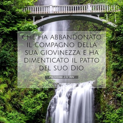 Picture 07 - Proverbi 2:17 RIV - che ha abbandonato il compagno della sua - Bible Verse Picture