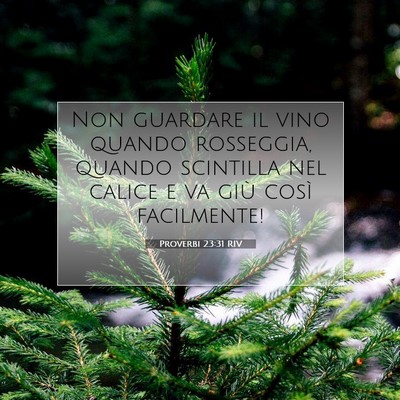 Picture 07 - Proverbi 23:31 RIV - Non guardare il vino quando rosseggia, quando - Bible Verse Picture