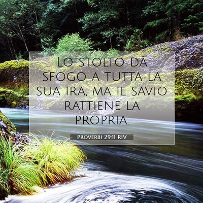 Picture 07 - Proverbi 29:11 RIV - Lo stolto dà sfogo a tutta la sua ira, ma il - Bible Verse Picture
