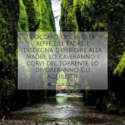 Picture 07 - Proverbi 30:17 RIV - L’occhio di chi si fa beffe del padre e - Bible Verse Picture