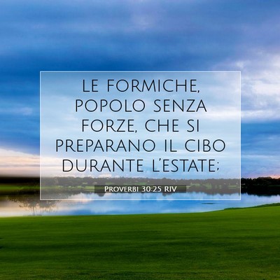Picture 07 - Proverbi 30:25 RIV - le formiche, popolo senza forze, che si preparano - Bible Verse Picture