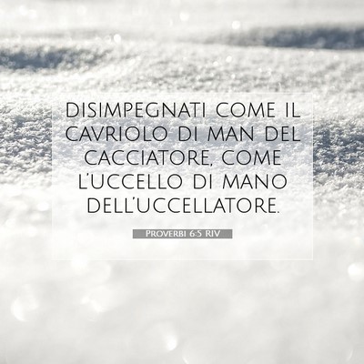 Picture 07 - Proverbi 6:5 RIV - disimpegnati come il cavriolo di man del - Bible Verse Picture
