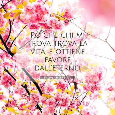 Picture 07 - Proverbi 8:35 RIV - Poiché chi mi trova trova la vita, e ottiene - Bible Verse Picture