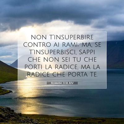 Picture 07 - Romani 11:18 RIV - non t’insuperbire contro ai rami; ma, se - Bible Verse Picture