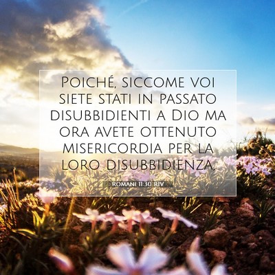 Picture 07 - Romani 11:30 RIV - Poiché, siccome voi siete stati in passato - Bible Verse Picture