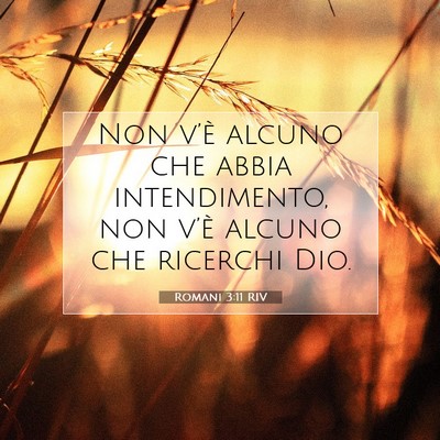 Picture 07 - Romani 3:11 RIV - Non v’è alcuno che abbia intendimento, non - Bible Verse Picture