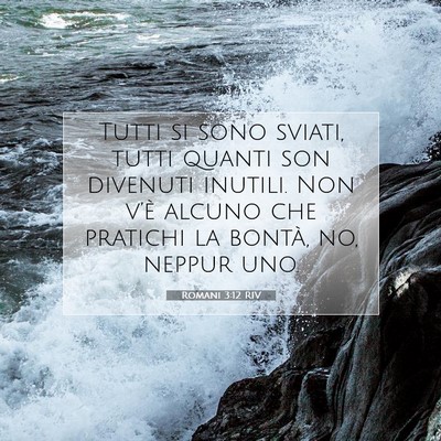 Picture 07 - Romani 3:12 RIV - Tutti si sono sviati, tutti quanti son divenuti - Bible Verse Picture