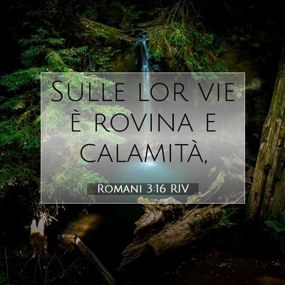 Picture 07 - Romani 3:16 RIV - Sulle lor vie è rovina e - Bible Verse Picture