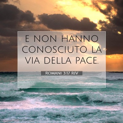 Picture 07 - Romani 3:17 RIV - e non hanno conosciuto la via della - Bible Verse Picture