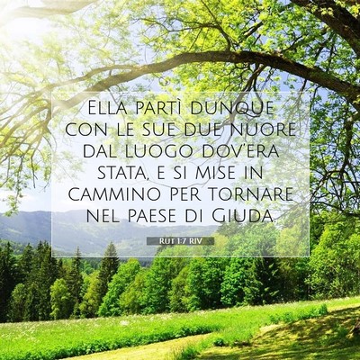 Picture 07 - Rut 1:7 RIV - Ella partì dunque con le sue due nuore dal luogo - Bible Verse Picture