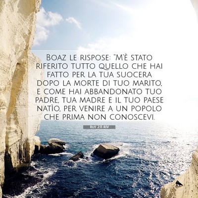 Picture 07 - Rut 2:11 RIV - Boaz le rispose: “M’è stato riferito tutto - Bible Verse Picture