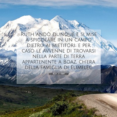 Picture 07 - Rut 2:3 RIV - Ruth andò dunque e si mise a spigolare in un - Bible Verse Picture